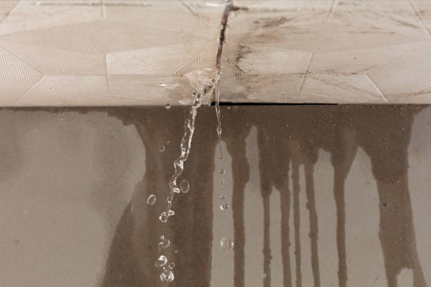 Professional Sewage Cleanup technician working in Hollow Rock, TN